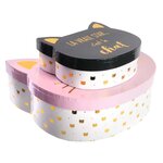 Boites de rangement chat (lot de 2)