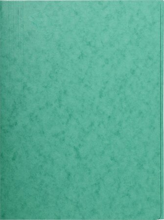 Chemise carte lustrée, A4, vert 24 x 32 cm EXACOMPTA