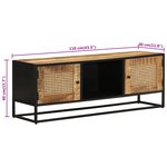vidaXL Meuble TV 110x30x40 cm bois massif de manguier brut et fer