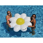 Marguerite  bouée flottante + ballon
