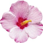 SHRUB ALTHEA Shape World Enchanting Flower 1 onces argent monnaie 2 Dollars Niue 2020