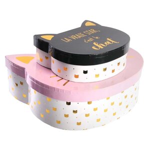 Boites de rangement chat (lot de 2)