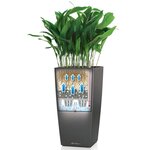 LECHUZA Jardinière Cubico 30 ALL-IN-ONE Charbon 18184