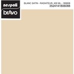Aérosol spécial radiateur blanc satiné 400 ml  nespoli
