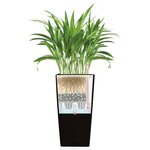 LECHUZA Jardinière Cubico 30 ALL-IN-ONE Charbon 18184