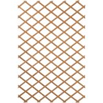 Nature Treillis de jardin 100 x 300 cm Bois Marron