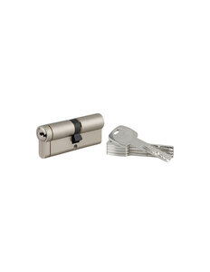 THIRARD - Cylindre double entrée Transit 1 UNIKEY (achetez-en plusieurs ouvrez avec la même clé) 40x45mm 5 clés nickelé
