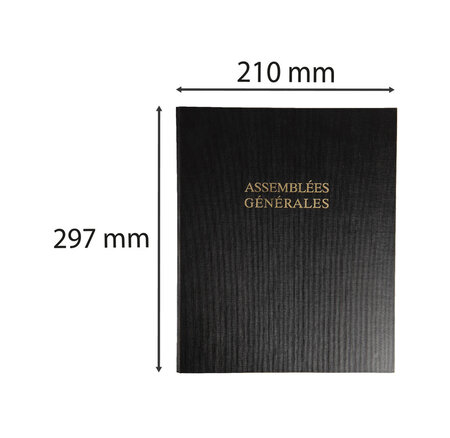 Registre Des Assemblées 50 Feuillets - Le Dauphin
