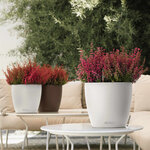 LECHUZA Jardinière CLASSICO Color 21 ALL-IN-ONE Blanc