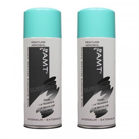 Lot de 2 bombes de peinture - fjord - amt