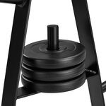 Tectake Rack de Rangement pour Poids, Range Disque d'Haltères