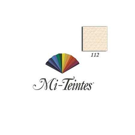 CANSON Papier dessin Mi-Teintes, 500 x 650 mm, coquille ,160 g/m2