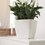 LECHUZA Jardinière Quadro 35 LS ALL-IN-ONE Blanc brillant 16160