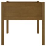 vidaXL Jardinières 2 Pièces Marron miel 70x70x70 cm Bois de pin massif