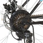 vidaXL Vélo de montagne 21 vitesses Roues 29 pouces Cadre 53 cm Noir