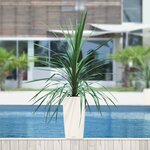 LECHUZA Jardinière Cubico Color 30 ALL-IN-ONE Blanc 13130