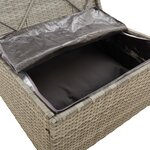 vidaXL Salon de jardin 3 Pièces avec coussins Gris Résine tressée
