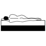 vidaXL Matelas de sommier tapissier 200x90x20 cm