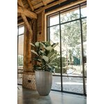Capi Pot à fleurs Urban Tube bas élégant 55x73 cm Gris foncé