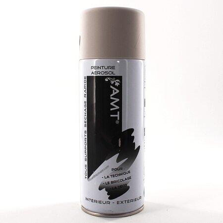 Bombe de peinture gris clair mat 330ml - amt