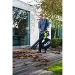 RYOBI Souffleur aspiro-broyeur 18V 5Ah 2 en 1 - 201 Km/h - RBV1850