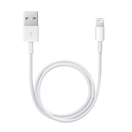 Câble Lightning vers USB (0,5 m)