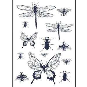 Transfert Thermocollant Insectes et Papillons Noir A4