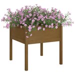 vidaXL Jardinières 2 Pièces Marron miel 70x70x70 cm Bois de pin massif