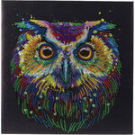 CRYSTAL ART Kit tableau broderie diamant 30x30cm Hibou multicolore