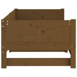 vidaXL Lit coulissant Marron miel Bois de pin solide 2x(90x200) cm