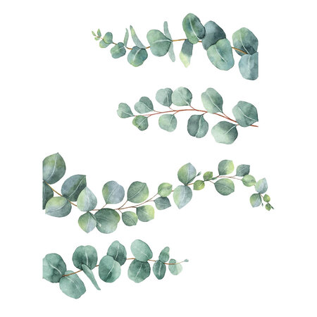 Décoration murale adhésive eucalyptus