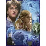 Harry potter puzzle 500 pieces - harry potter a poudlard - ravensburger - puzzle adultes - des 12 ans