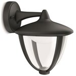 Robin - applique d'extérieur descendante led h23cm noir philips