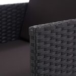 vidaXL Salon de jardin 17 Pièces avec coussins Résine tressée Noir