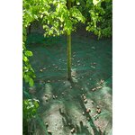Nature Filet collecteur de fruits et de feuilles 4 3 x 4 3 m 6030451