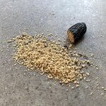 Fèves Tonka 30 g