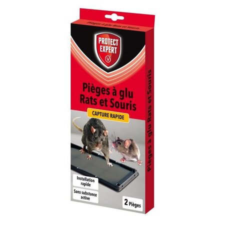Protect Expert RASOUGLU2 Rats & Souris - 2 Pieges a Glu -Pex