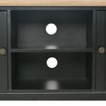 vidaXL Meuble TV Noir 120 x 30 x 40 cm Bois
