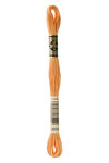 Fil Mouliné DMC Gold Concept 8M Col. 3854 Broderie et Point de Croix