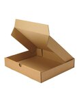 (lot  50 boîtes) boîte extra-plate 215 x 155 x 50mm
