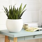 PoeTIC Coupe Lune Ø 24 cm avec soucoupe clipsée - Blanc cassé