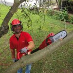 Elagueuse électrique einhell gc-ec 750 t