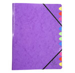 Trieur Dos Agrafé Iderma - A4 - Couleurs Assorties - X 8 - Exacompta