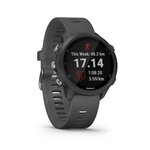 Garmin Forerunner 245 - Montre GPS connectée pour la course avec fonctions d'entraînement avancées - Gris