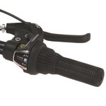 vidaXL Vélo de montagne 21 vitesses Roues de 26 pouces 46 cm Noir