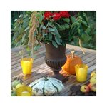 Vase médicis en fonte hauteur 42 cm