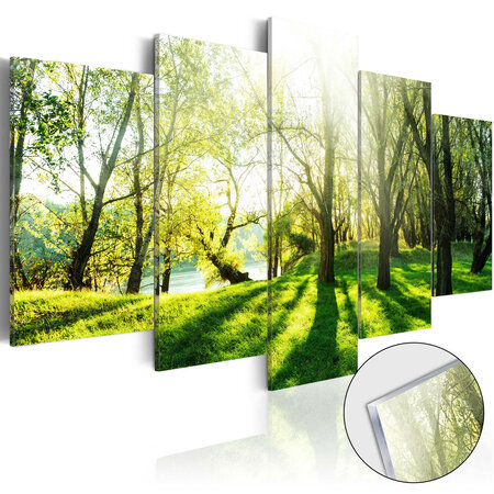 Tableau sur verre acrylique - green glade [glass] l x h en cm 100x50