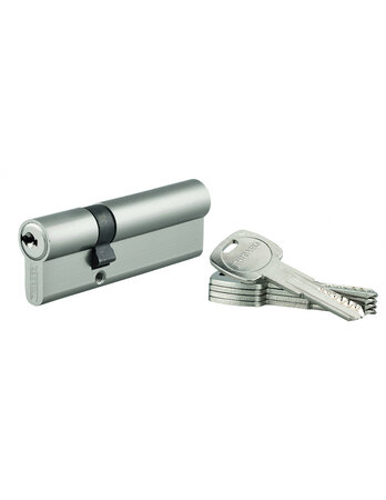 THIRARD - Cylindre double entrée Trafic 6 UNIKEY (achetez-en plusieurs  ouvrez avec la même clé)  30x60mm  3 clés  nickelé