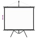 vidaXL Écran de projection avec trépied 60" 4:3