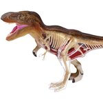 MGM - Explora - Paléontologie T-REX - Expérience scientifique